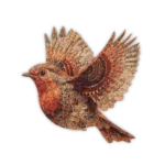 Fri Fugl Puslespil