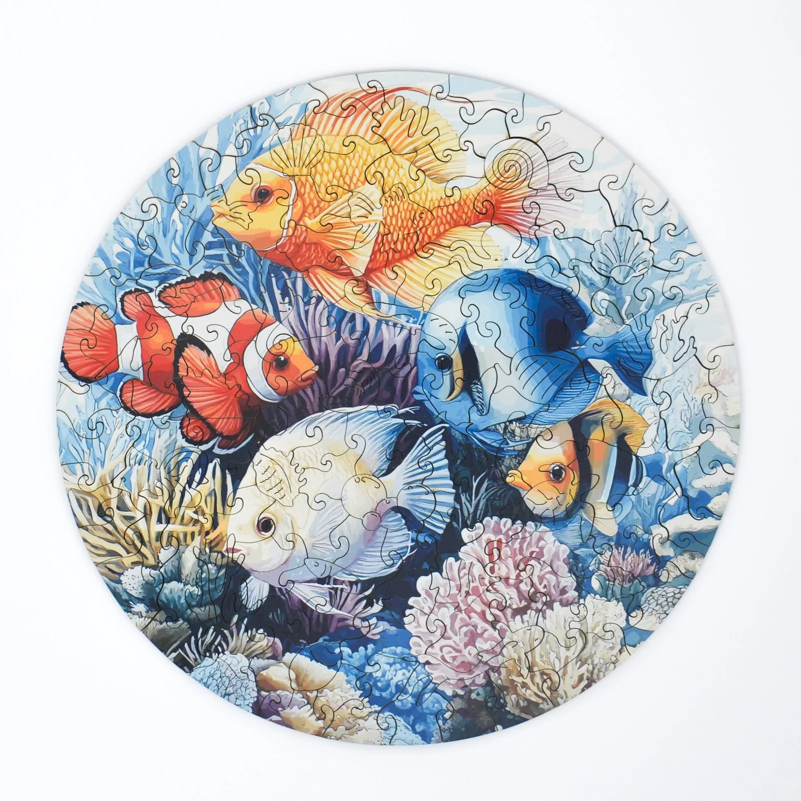 Coral Reef Puzzle