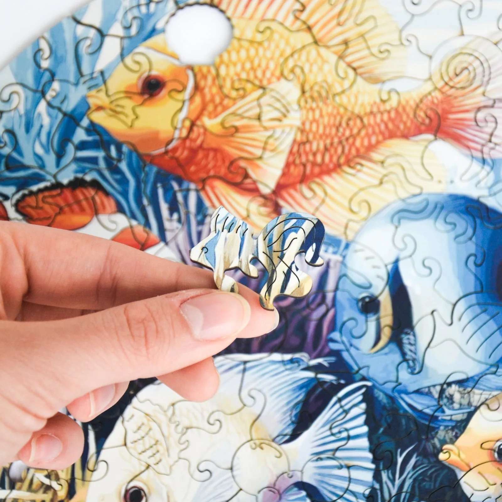Coral Reef Puzzle