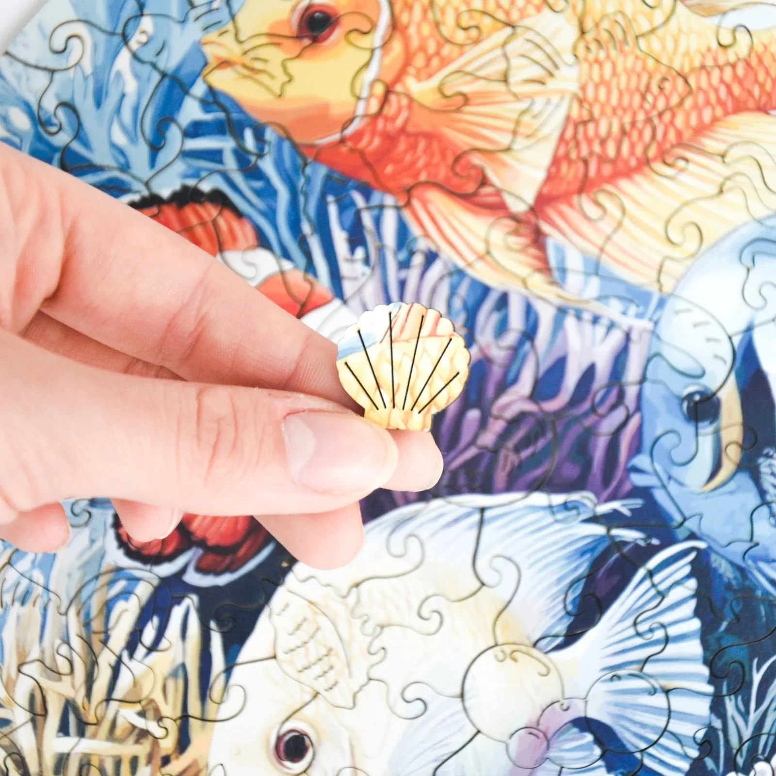 Coral Reef Puzzle
