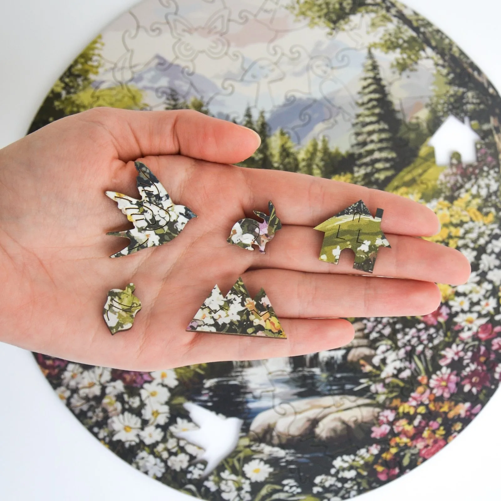 Hidden Paradise Puzzle