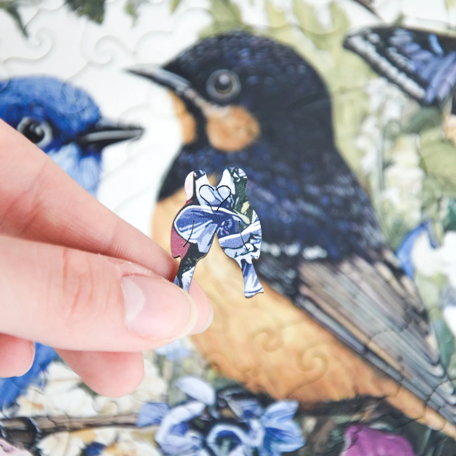 Spring Birds Puzzle