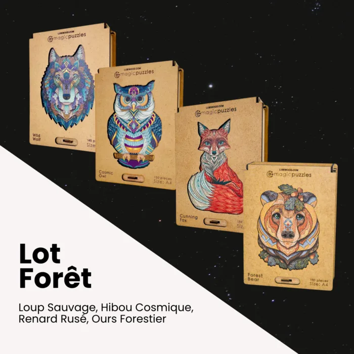 Lot Forêt