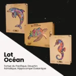 Lot Océan