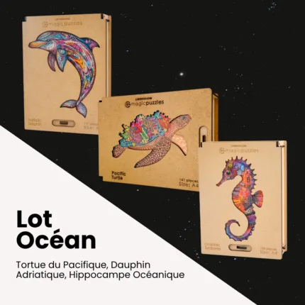 Lot Océan