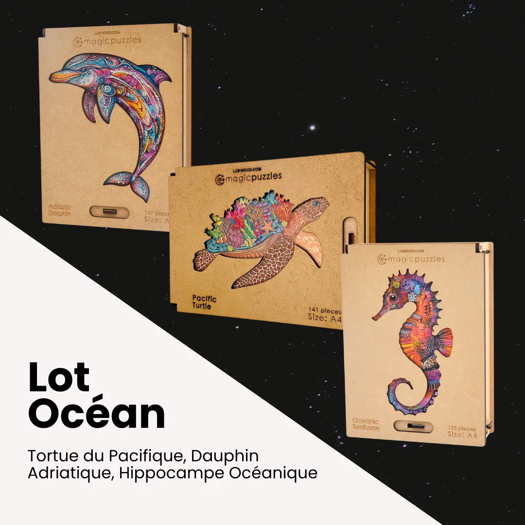 Lot Océan – Image 1