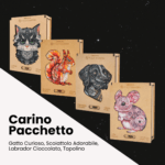 Carino Pacchetto
