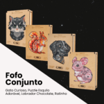 Fofo Conjunto