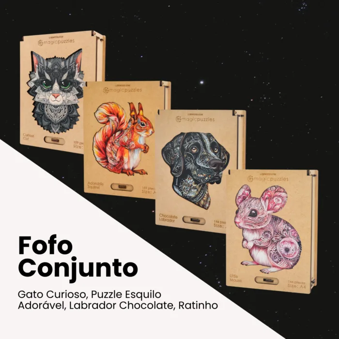 Fofo Conjunto