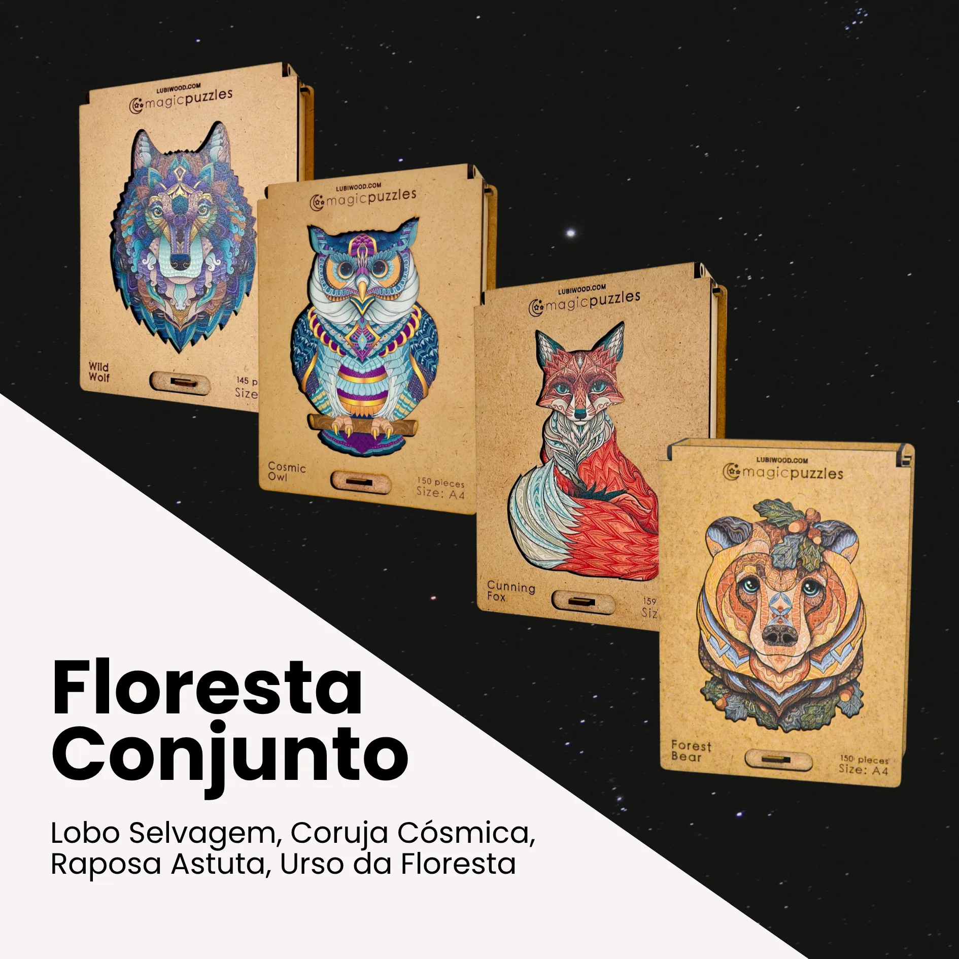 Floresta Conjunto - Imagem 1