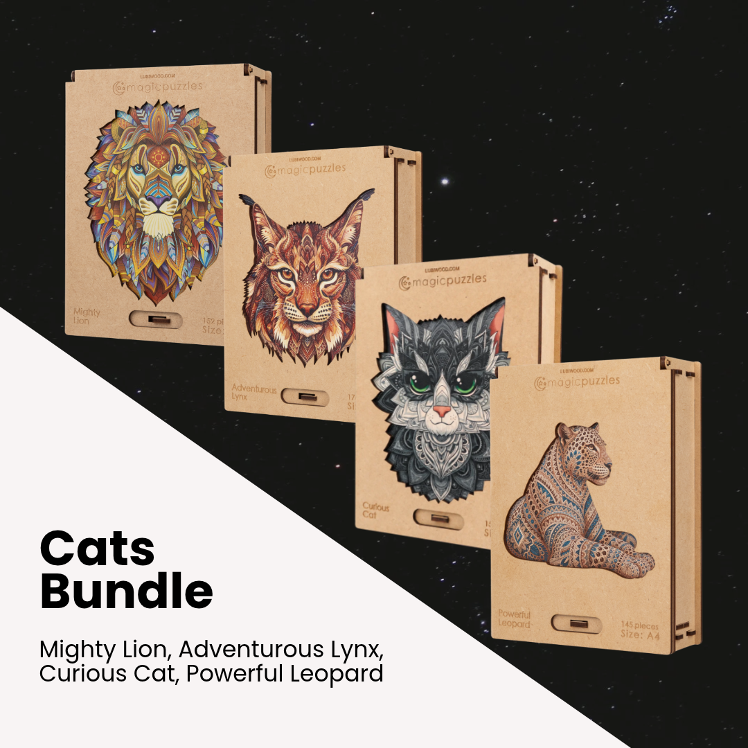 Cats-bundle-EN Cats Bundle - Image 1